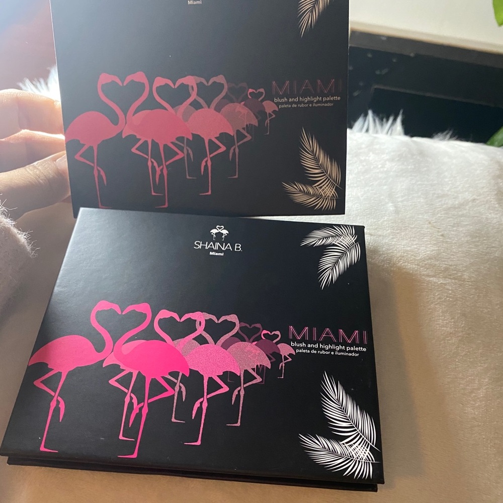 Blush and highlight palette